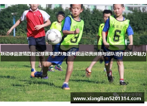 跃动绿茵激情四射足球赛事激烈角逐展现运动员拼搏与团队协作的无尽魅力